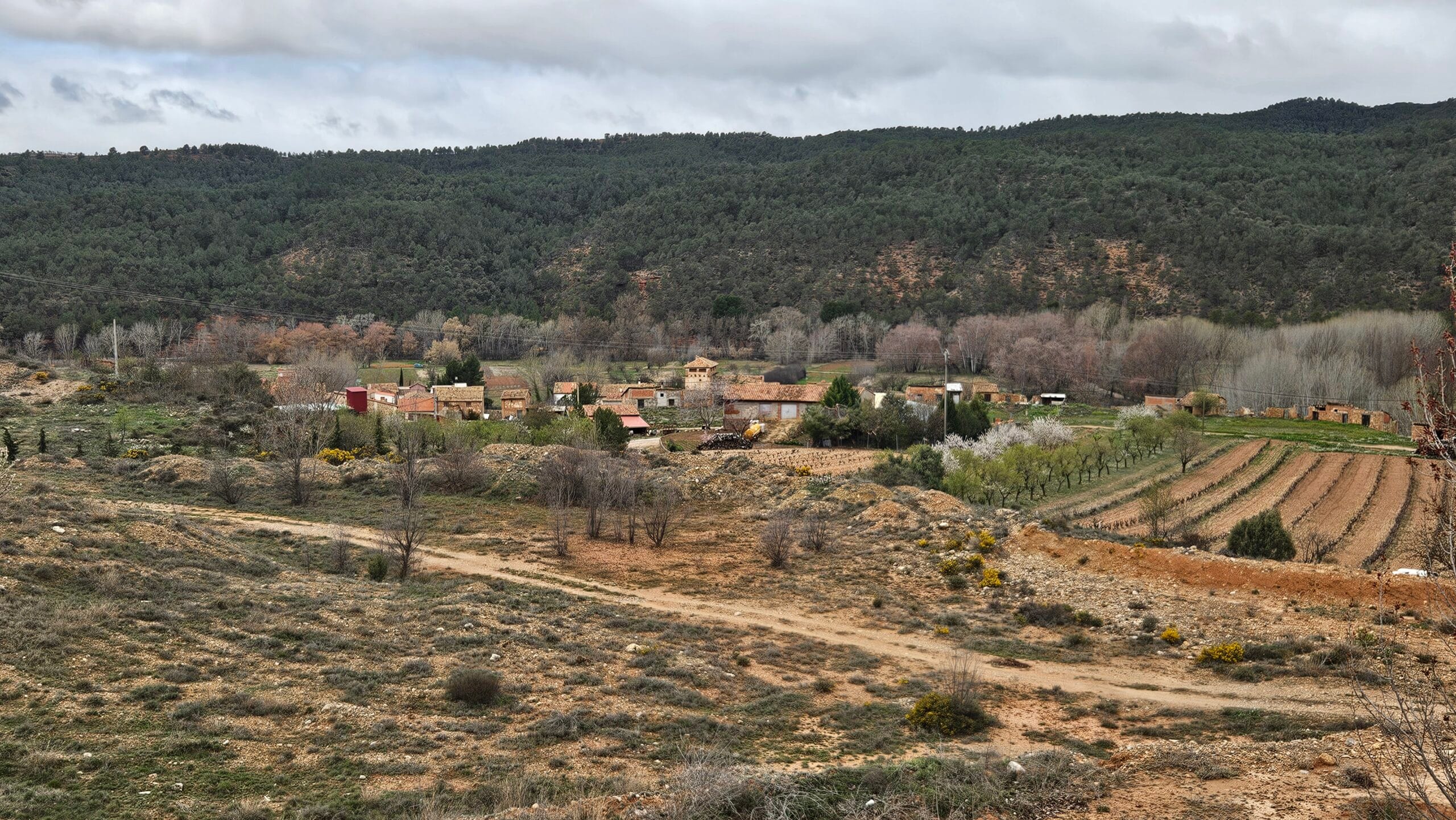 Torrealta