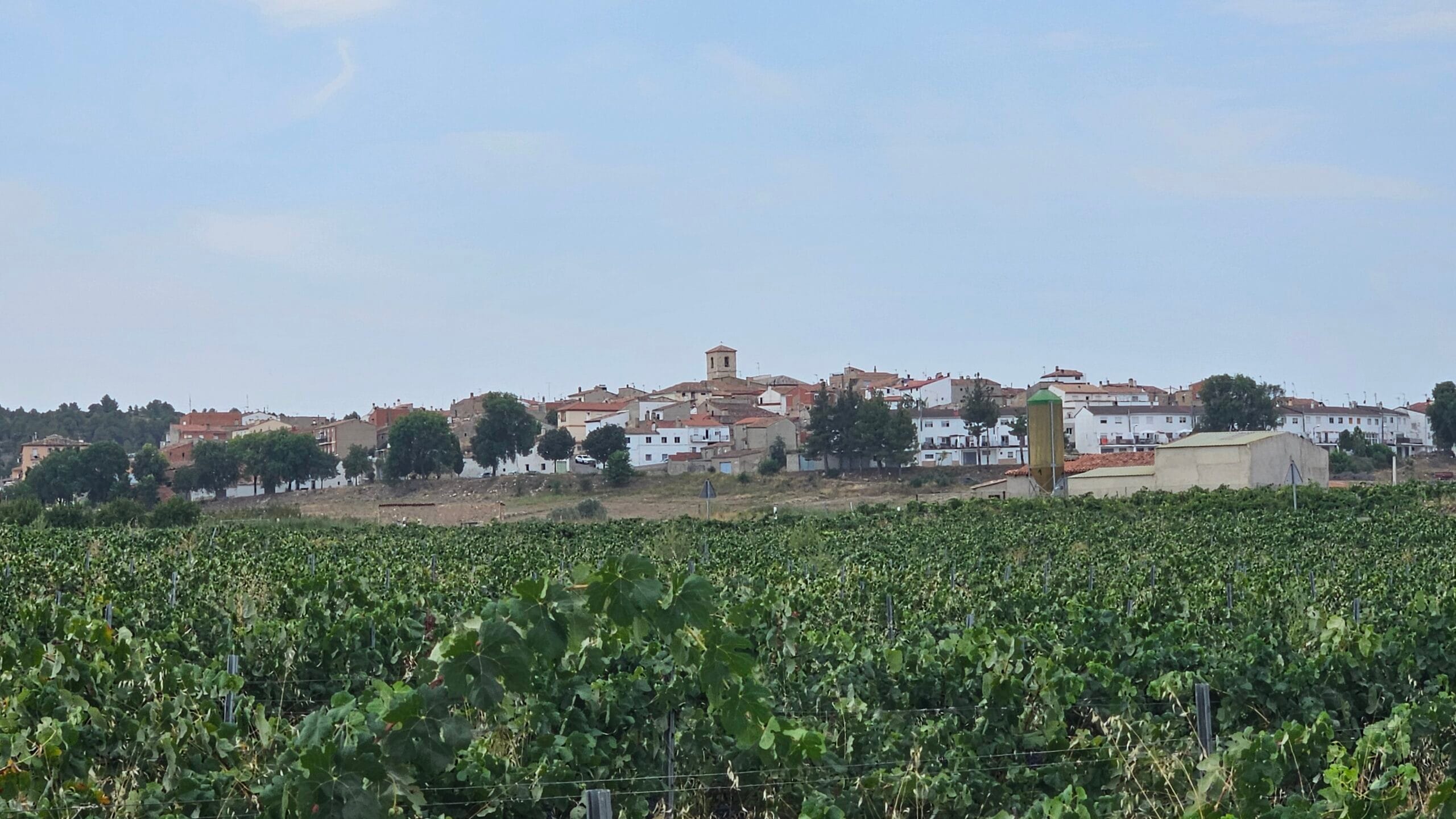 Sinarcas