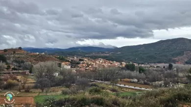 Torrebaja