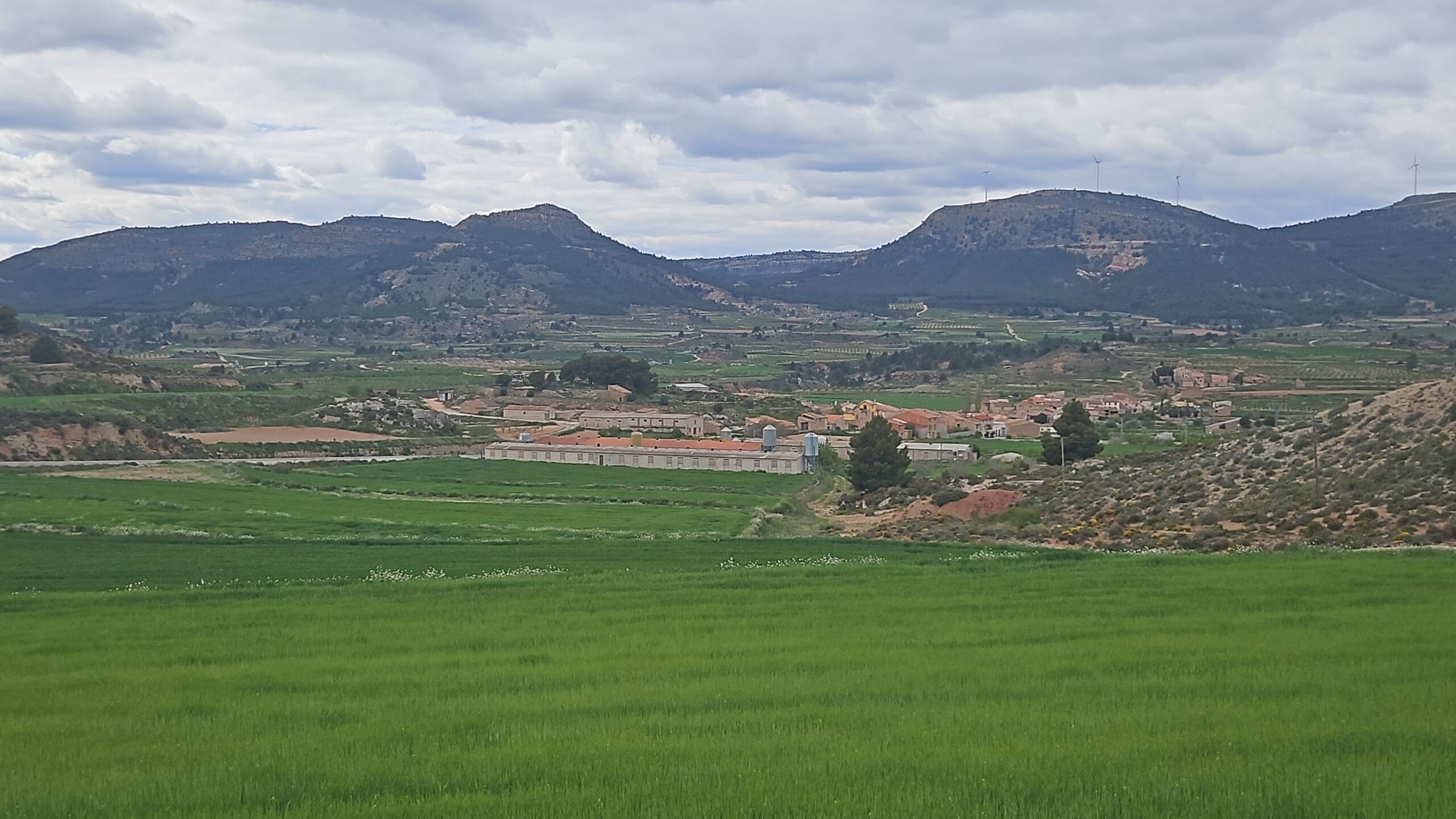 Baldovar