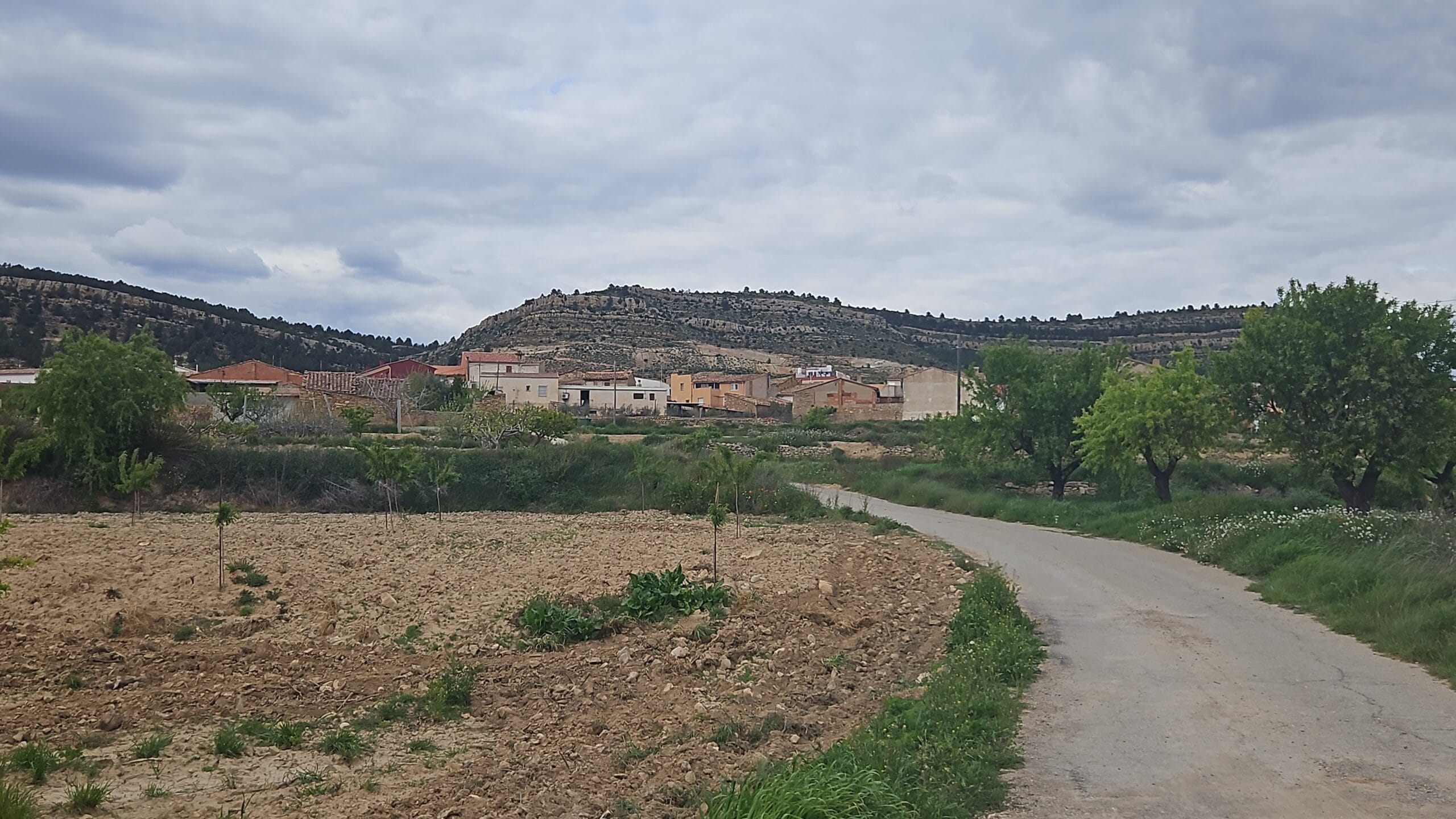 Campo de Arriba