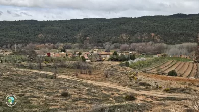 Torrealta