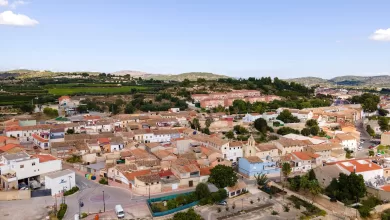 Cerda