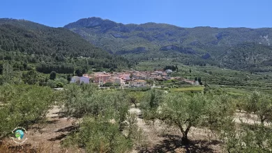 Beniatjar